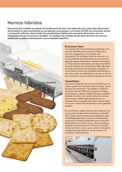 Hornos híbridos
Este horno que combina el método de transferencia de calor más adecuado para cada etapa del proceso 
de horne