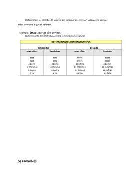 Pronomes e Determinantes Explicados | PDF | Pronome | Morfologia