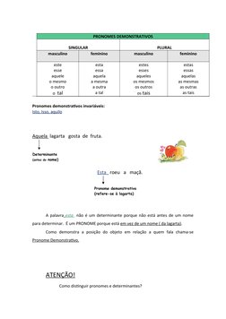 Pronomes e Determinantes Explicados | PDF | Pronome | Morfologia