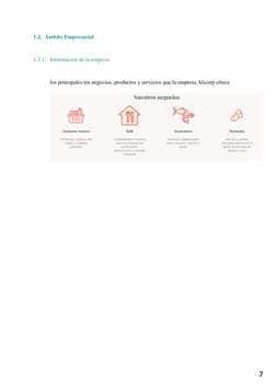 7 
1.2. Ámbito Empresarial 
 
1.2.1. Información de la empresa 
 
los principales los negocios, productos y servicios que