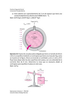 Practica 6 Segundo Parcial 
Convección Forzada Externa 
Operaciones Unitarias II – PRQ 502 
Camacho Dalenz Rodrigo Marcelo 
c