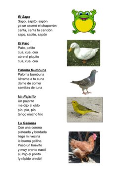 El Sapo
Sapo, sapito, sapón
ya se asomó el chaparrón
canta, canta tu canción
sapo, sapito, sapón
El Pato
Pato, patito
cua, cu