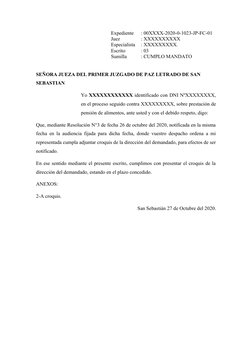Expediente 
: 00XXXX-2020-0-1023-JP-FC-01
Juez
 
: XXXXXXXXXX
Especialista 
: XXXXXXXXX.
Escrito     
: 03
Sumilla       
: C
