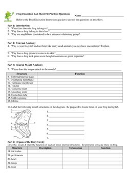 Frog Dissection Lab Sheet #1: Pre/Post Questions  
 
Refer to the Frog Dissection Instructions packet to answer the questions