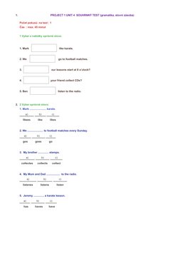 Project 1 Unit 4 Summary Test | PDF
