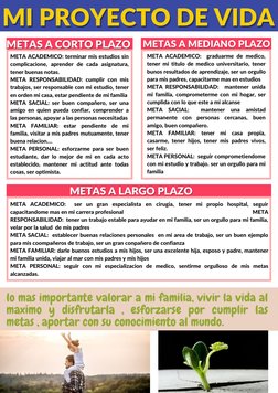 METAS A CORTO PLAZO
METAS A CORTO PLAZO
METAS A MEDIANO PLAZO
METAS A MEDIANO PLAZO
METAS A LARGO PLAZO
METAS A LARGO PLAZO
M