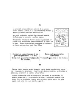 A6
La carne  de la llama se utilizó  como  alimento,  de su cuero se 
hicieron  sandalias  y correas; de sus huesos instrum