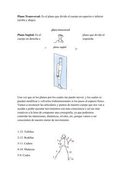 Plano Transversal: Es el plano que divide el cuerpo en superior e inferior 
(arriba y abajo).
Plano Sagital: Es el
plano que