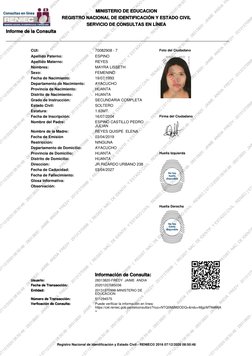 MINISTERIO DE EDUCACION
REGISTRO NACIONAL DE IDENTIFICACIÓN Y ESTADO CIVIL
SERVICIO DE CONSULTAS EN LÍNEA
Informe de la Consu