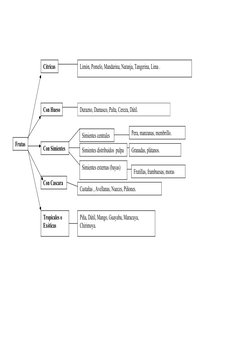 Frutas
Cítricas
Con Hueso
Con Simientes
Con Cascara
Tropicales o
Exóticas
Limón, Pomelo, Mandarina, Naranja, Tangerina, Lima