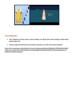 Fuentes bibliográficas 

Libro: Endodoncia técnicas clínicas y Bases científicas, 4ta edición 2019, Carlos Canalda y Esteban