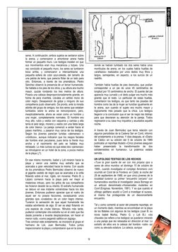 9 
 
 
 
 
 
 
 
 
 
 
seres. A continuación, ambos sujetos se sentaron sobre 
la arena, y comenzaron a amontonar arena has