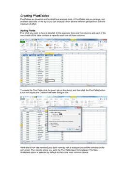 Excel Pivot Table Beginner's Guide | PDF