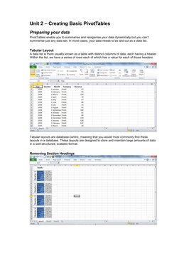 Excel Pivot Table Beginner's Guide | PDF
