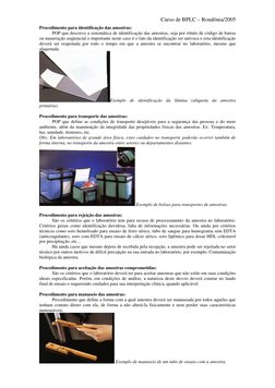 Curso de BPLC – Rondônia/2005 
Procedimento para identificação das amostras: 
           POP que descreve a sistemática de id