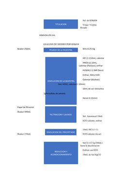 DISOLUCION DE LA MUESTRA
Sol. de KMnO4
Viraje: Violeta-
Rosado
VKMnO4=29.1mL
       ANALISIS DE HIERRO POR KMnO4
Beaker 250mL