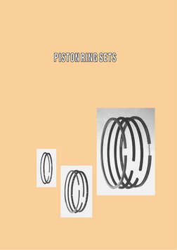 Catalogo NPR Volumen 34 Versión 2 Del 2020 | PDF | Piston | Engines