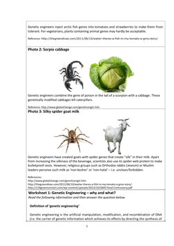 (http://www.domyownpestcontrol.com/images/content/wolf%20spider.jpg)  (http://2.bp.blogspot.com/-LtmW_ktxtXU/Um28ElCtQnI/AAA
