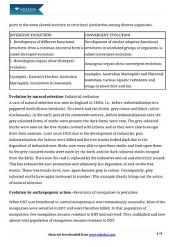 Class 12 Evolution Revision Notes | PDF | Abiogenesis | Life