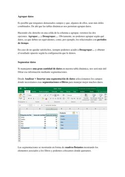 Agrupar datos 
Es posible que tengamos demasiados campos y que, algunos de ellos, sean más útiles 
combinados. De ahí que las