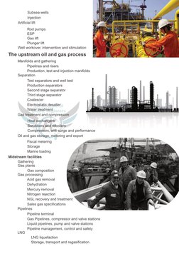 Subsea wells
Injection
Artificial lift
Rod pumps
ESP
Gas lift 
Plunger lift
Well workover, intervention and stimulation
The u