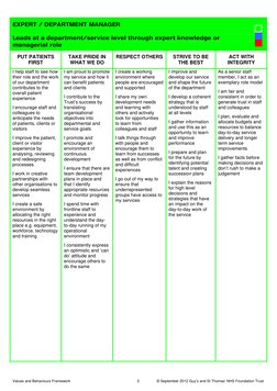 EXPERT / DEPARTMENT MANAGER  
 
Leads at a department/service level through expert knowledge or  
managerial role  
PUT PAT