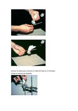 Técnica de Baermann en Parasitología | PDF | Nematodo | Naturaleza