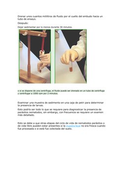 Técnica de Baermann en Parasitología | PDF | Nematodo | Naturaleza