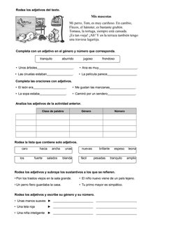 Repaso Examen de Lengua y Mate Tema 10 para 3 Primaria Santillana | PDF