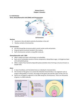 Genetics Overview for Form 4 Students | PDF | Meiosis | Chromosome