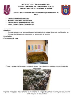 INSTITUTO POLITÉCNICO NACIONAL
ESCUELA NACIONAL DE CIENCIAS BIOLÓGICAS
LABORATORIO DE ECOLOGÍA MICROBIANA
Práctica No.7 Estud