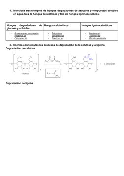 4. Menciona tres ejemplos de hongos degradadores de azúcares y compuestos solubles
en agua, tres de hongos celulolíticos y tr
