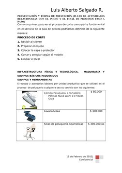 Luis Alberto Salgado R. 
PRESENTACIÓN Y FORMA DE PRESTACIÓN (FLUJO DE ACTIVIDADES 
RELACIONADAS CON EL INICIO Y EL FINAL DE P