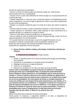 servirán de soporte para el portaobjetos
• Colocar un cilindro de medio de agar como dextrosa, patata, etc., sobre el porta,