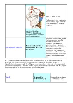 Imagem: AMABIS & 
MARTHO.  Conceitos de 
Biologia Volume 2. São Paulo, 
Editora Moderna, 2001.
parto e a ejeção do leite. 
No