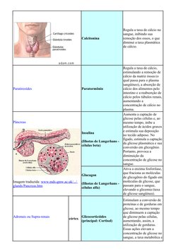 (http://www.afh.bio.br/endocrino/img/endocr14.jpg)Calcitonina
Regula a taxa de cálcio no 
sangue, inibindo sua 
remoção dos