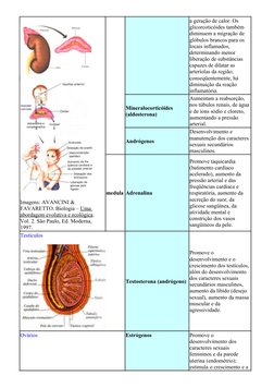 (http://www.afh.bio.br/endocrino/img/endocr14.jpg)Imagens: AVANCINI & 
FAVARETTO. Biologia – Uma 
abordagem evolutiva e ecol