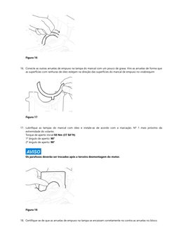 Figura 16
16. Conecte as outras arruelas de empuxo na tampa do mancal com um pouco de graxa. Vire as arruelas de forma que 
a