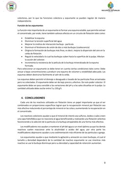 9 
 
colectoras, por lo que las funciones colectora y espumante se pueden regular de manera 
independiente. 
Función de los