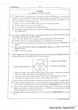 2020 OL Maths Past Paper | PDF