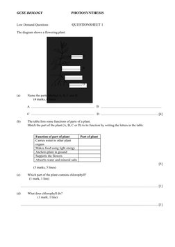 A
B
C
D
GCSE BIOLOGY
PHOTOSYNTHESIS
Low Demand Questions 
QUESTIONSHEET 1
The diagram shows a flowering plant.  
(a) 
Name th
