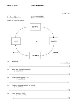 GCSE BIOLOGY
PHOTOSYNTHESIS
TOTAL  / 11
Low Demand Questions 
QUESTIONSHEET 2
Look at the following diagram.
P L A N T S
A N