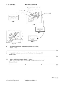 GCSE BIOLOGY
PHOTOSYNTHESIS
V a r i e g a t e d  p o t  p l a n t
p la c e d  i n  d a r k
c u p b o a r d  f o r  2  d a y s