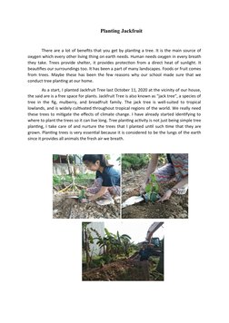 Planting Jackfruit
There are a lot of benefits that you get by planting a tree. It is the main source of
oxygen which every o