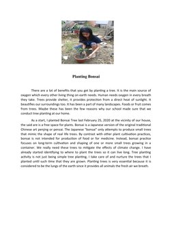 Planting Bonsai
There are a lot of benefits that you get by planting a t