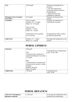 Urea
10-50 mg/dl
Producto de degradación de 
proteínas
+ Por dieta hipoproteica, 
hemorragia interna, fármacos, 
deshidrataci