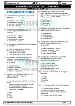 GRUPO AD Pre                              AD Pre                                            adpre1 
 Jr. Chota 855 (c