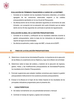 Presupuesto y Contabilidad Para el Sector
Público
EVALUACIÓN EN TÉRMINOS FINANCIEROS A CARGO DE LA DGPPMEF:
•
Consiste en la