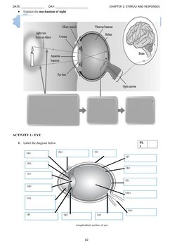 DATE: ______________ DAY: ____________________ CHAPTER 1: STIMULI AND RESPONSES
Explain th