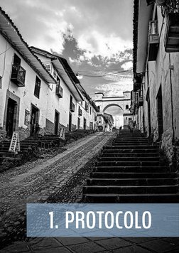 1. PROTOCOLO
